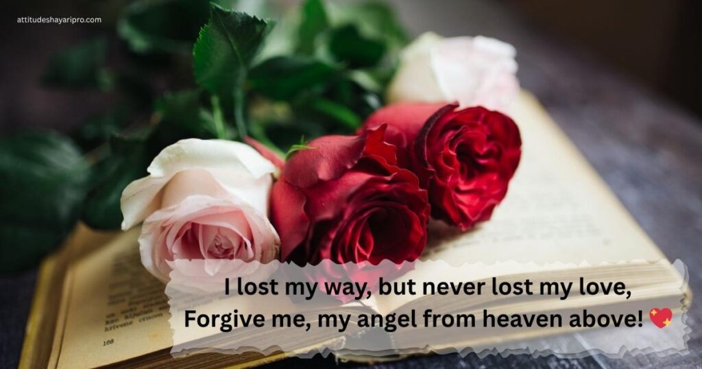 sorry-shayari-english