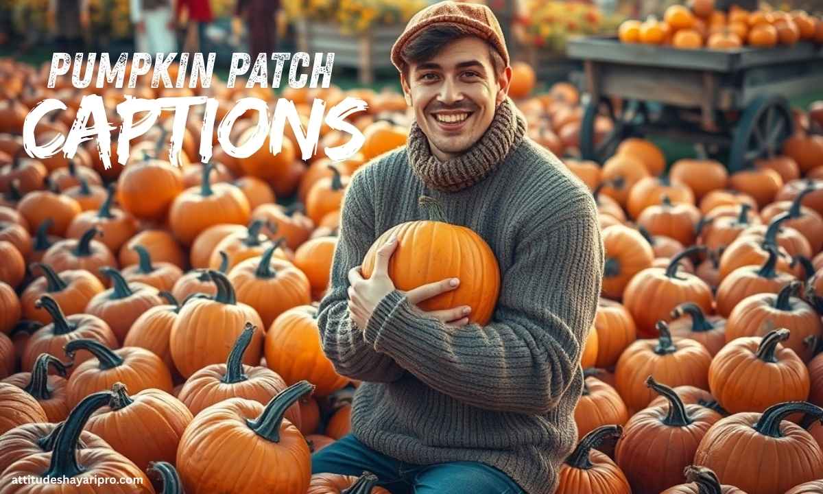 355+ Pumpkin Patch Captions Cute, Funny & Flirty Fall Lines