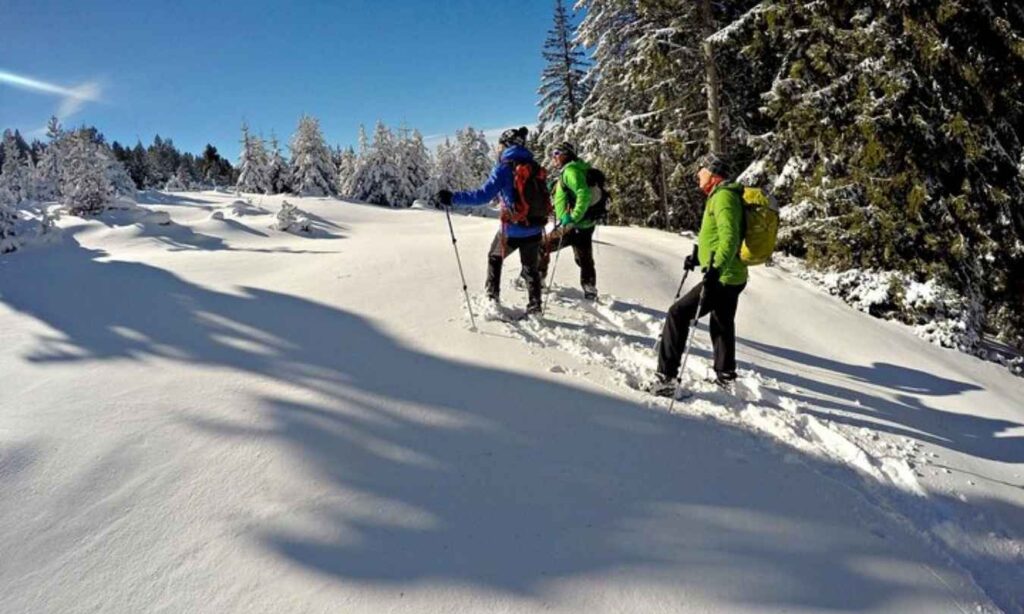 aesthetic-snow-captions-for-instagram