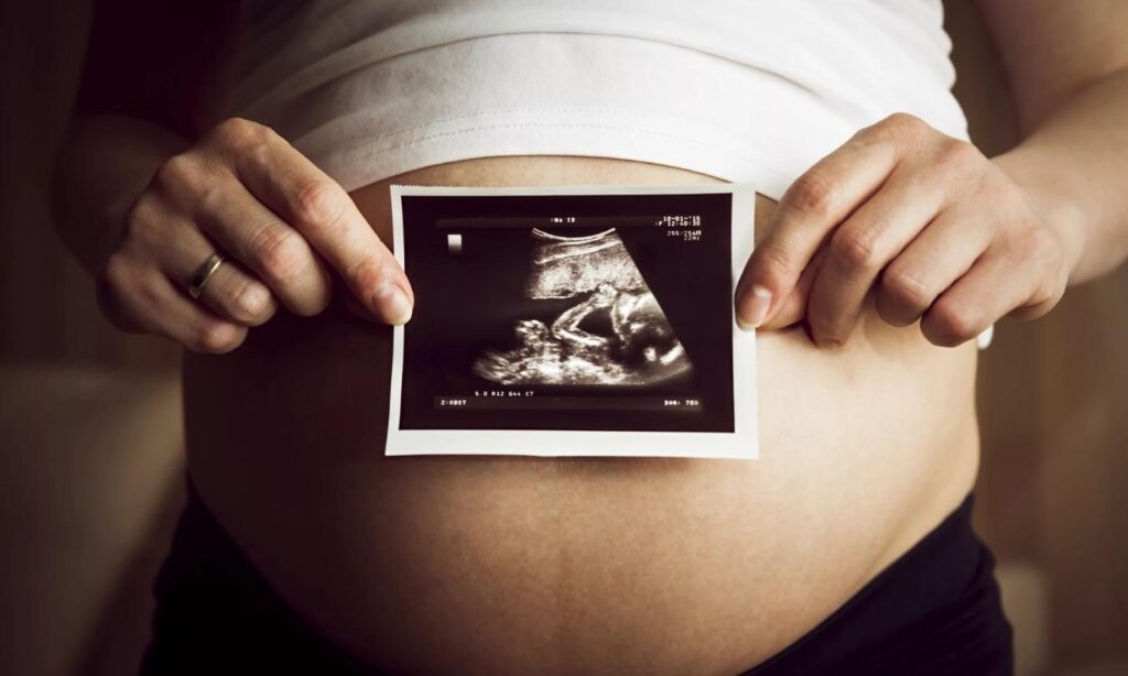 seasonal-pregnancy-announcement-captions